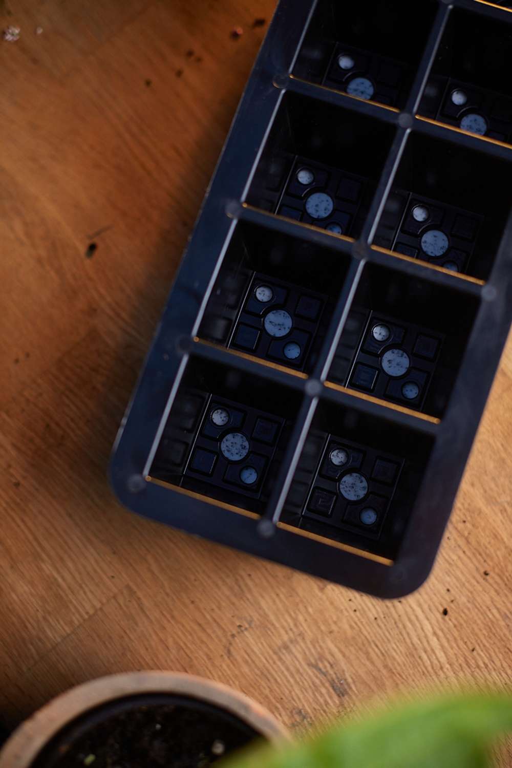 Mini drivhus med selvvanding m. 12 celler